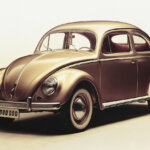 gold Beetle on white background