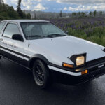 white and black car near grassy area